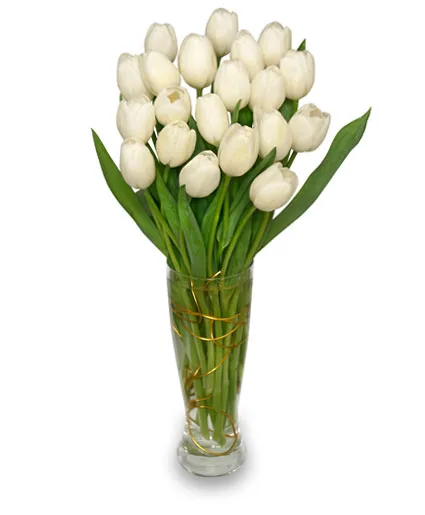 FIRST SNOW Vase of Flowers FIRST SNOW Vase of Flowers