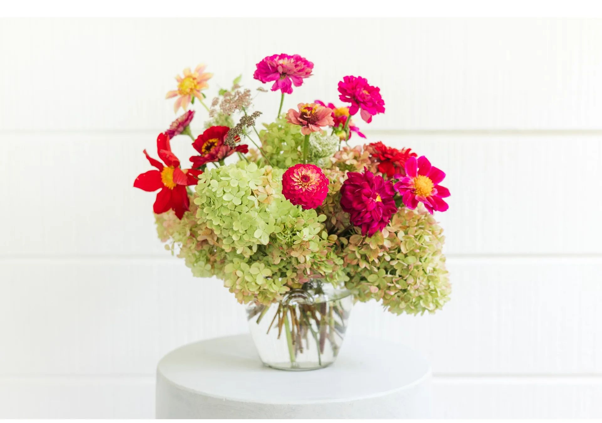 Vibrant Bloom Garden