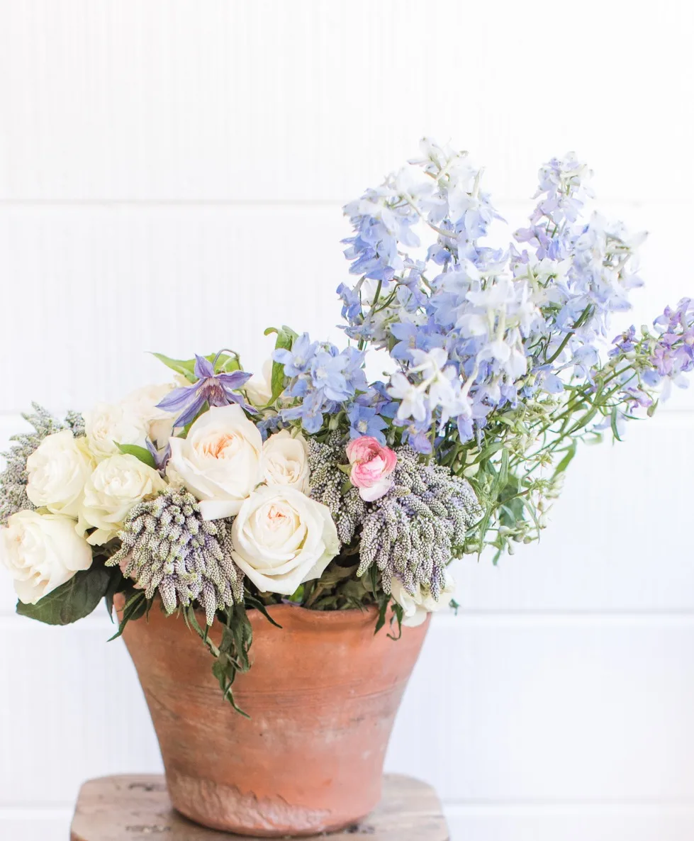 Ethereal Garden Ethereal Garden