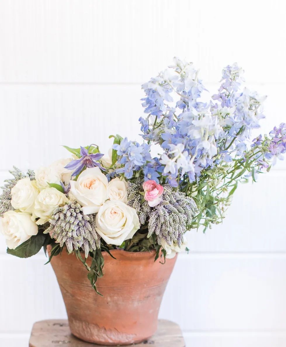 Ethereal Garden