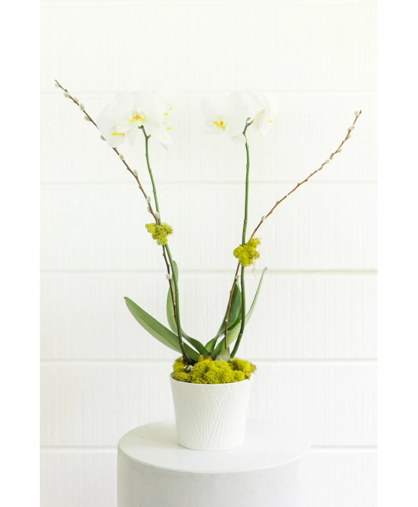 L.D.elegant orchid serenity L.D.elegant orchid serenity