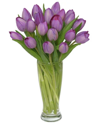 Purple Amethyst Tulip Bouquet Purple Amethyst Tulip Bouquet