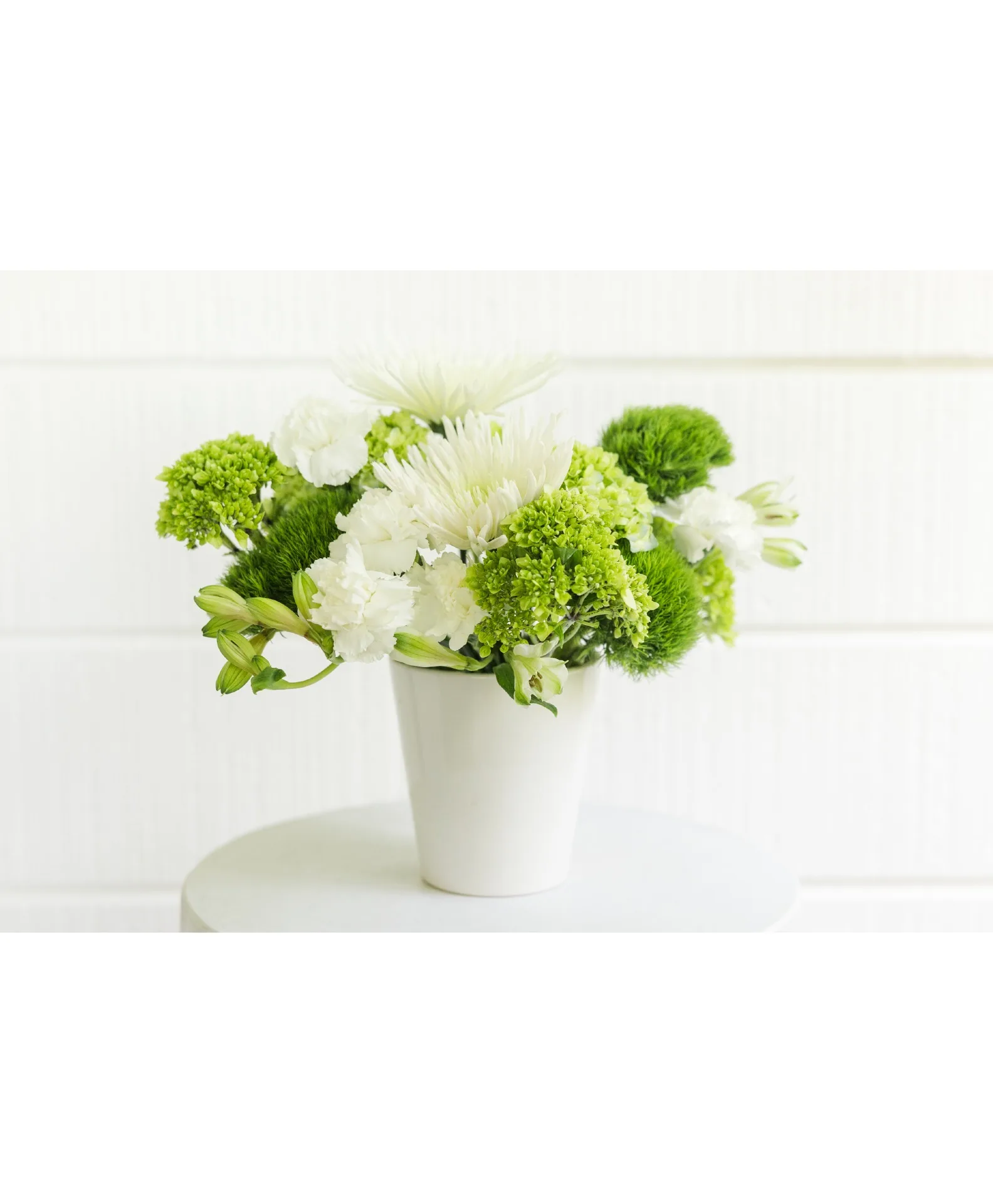 elegant white harmony elegant white harmony elegant white harmony elegant white harmony