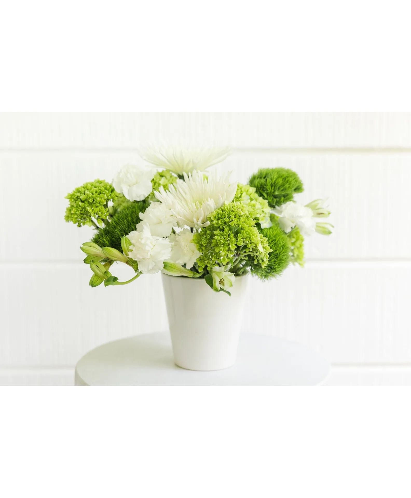 elegant white harmony elegant white harmony