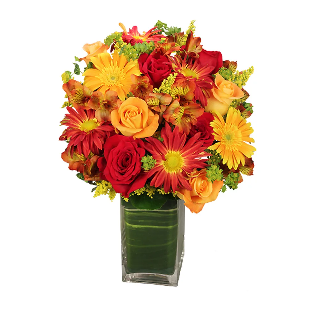 Colorful Canvas Colorful Canvas