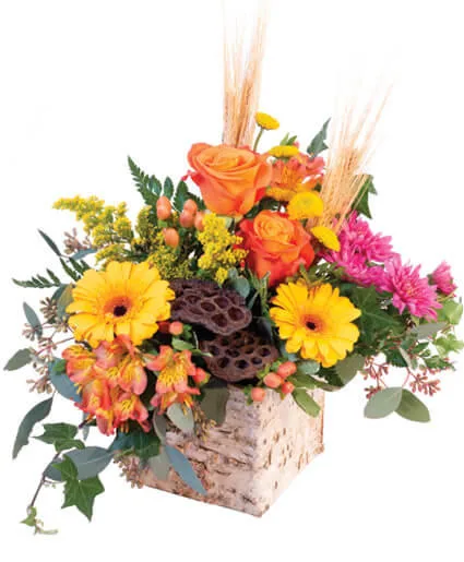 Enchanting Harvest Floral Arrangement Enchanting Harvest Floral Arrangement