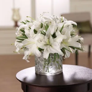 White and Wonderous Vase Arrangement White and Wonderous Vase Arrangement