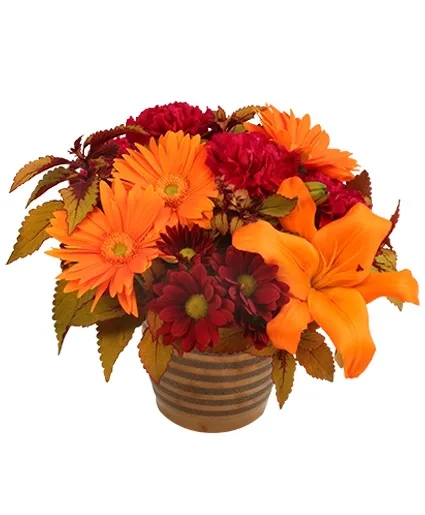 Rustic Orange and Cranberry Flower Arrangement Rustic Orange and Cranberry Flower Arrangement