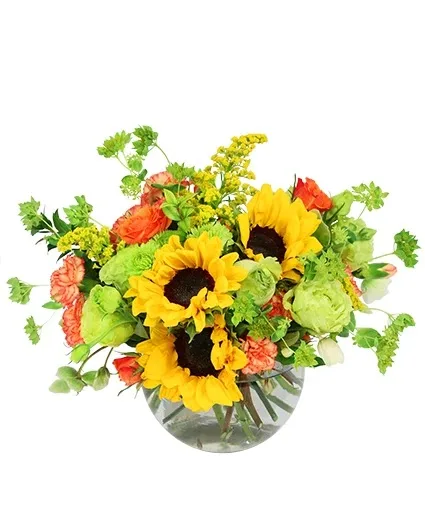 Supreme Sunflowers Floral Arrangement Supreme Sunflowers Floral Arrangement