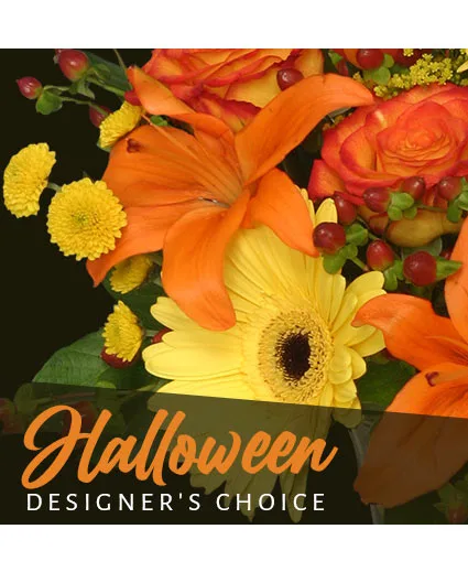 Halloween Designer's Choice Halloween Designer's Choice